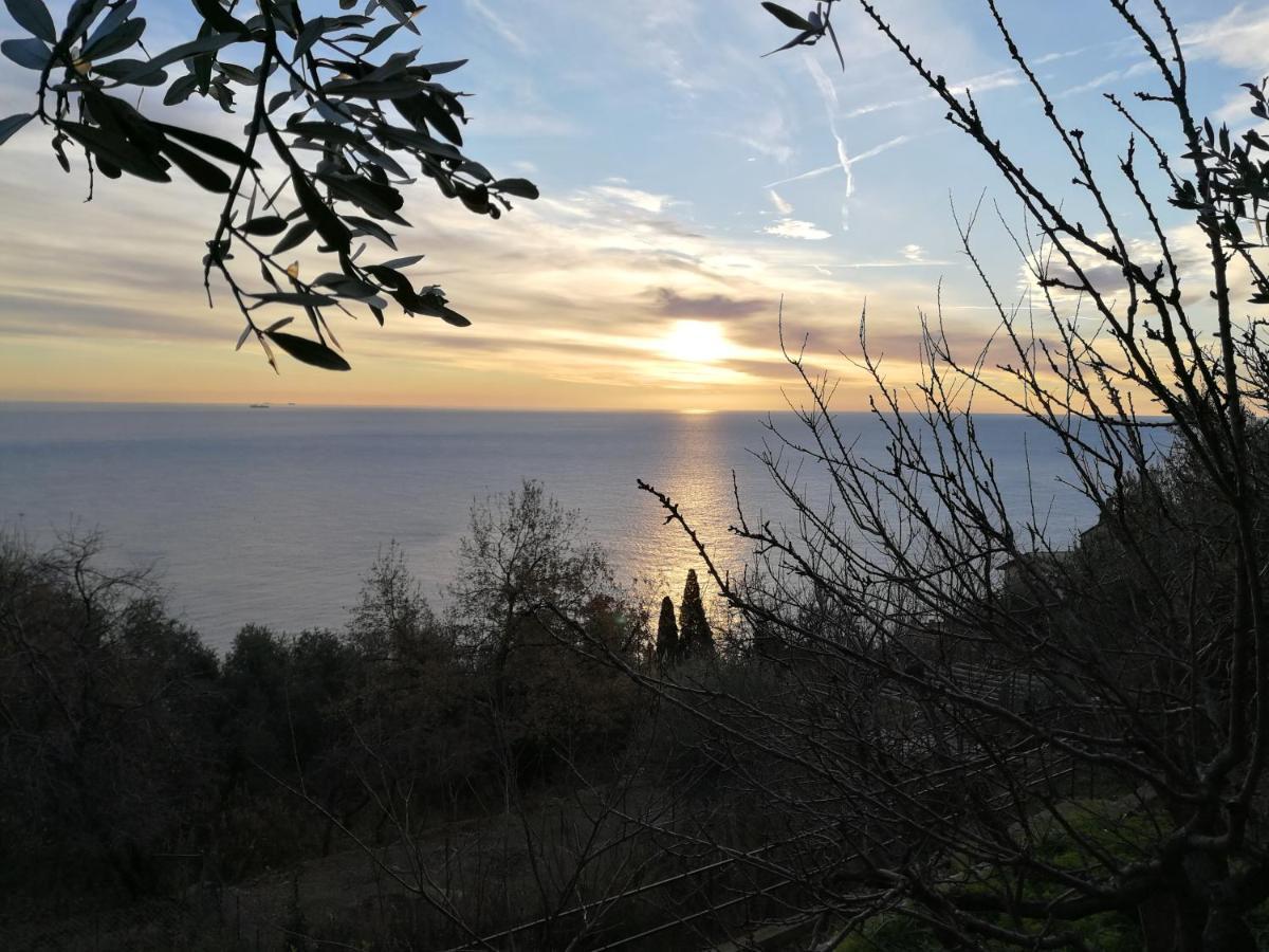 Villa Gio - Terrazza Nel Blu Берджеджи Екстериор снимка