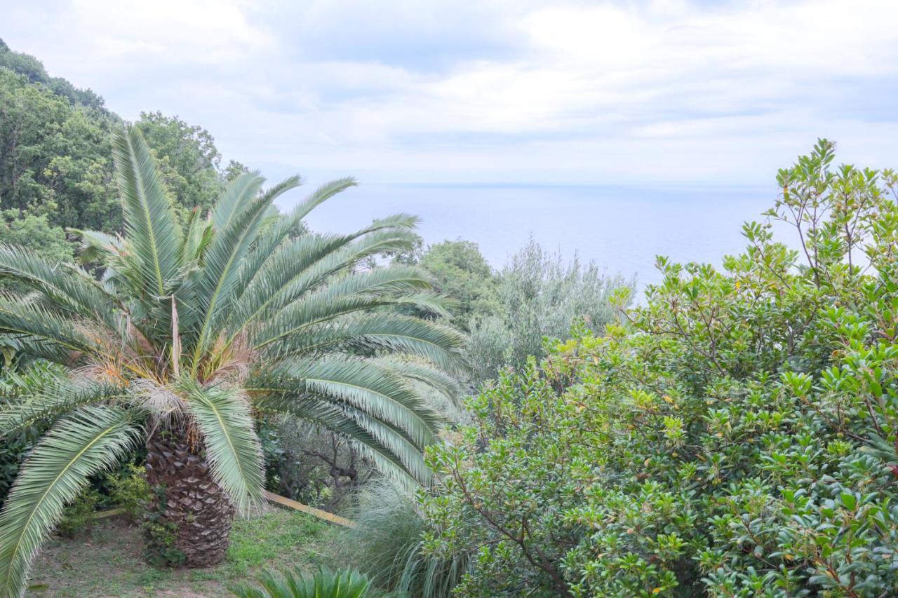 Villa Gio - Terrazza Nel Blu Берджеджи Екстериор снимка